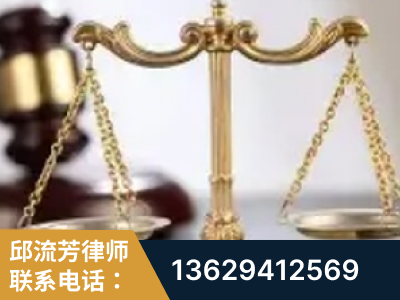 盘龙-委托诉讼代理人出庭